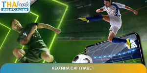 Thể Thao THABET - Tỷ lệ cược tốt nhất cho mọi trận cầu đỉnh cao