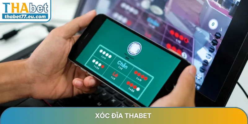 Xóc đĩa THABET - Hướng dẫn chơi & soi cầu online uy tín 2026