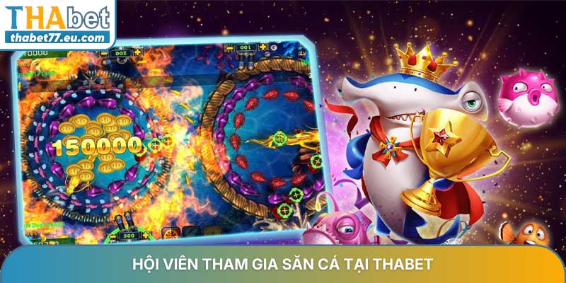 App bắn cá online uy tín - Top ứng dụng giải trí xanh chín 2026