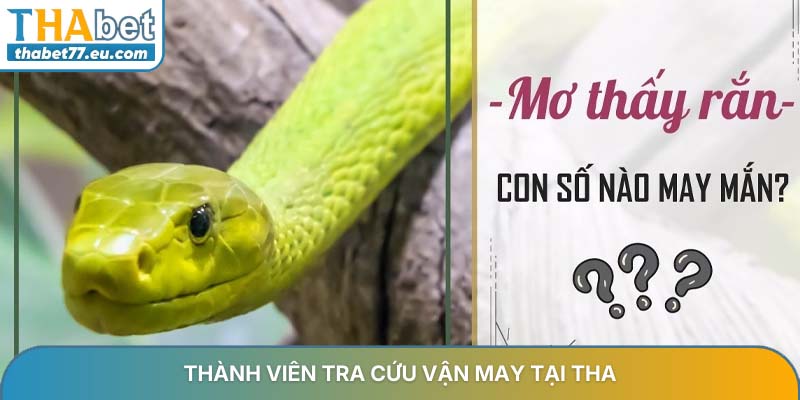 Mơ thấy rắn và những điềm báo tài lộc may mắn nhất 2026