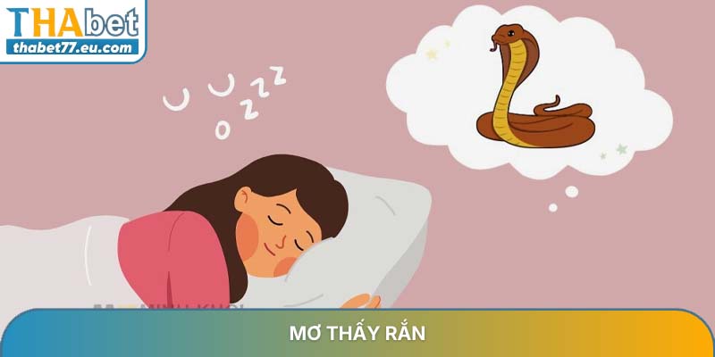 Mơ thấy rắn và những điềm báo tài lộc may mắn nhất 2026