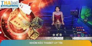 Tin tức THABET - Cập nhật khuyến mãi, link vào mới nhất 24/7