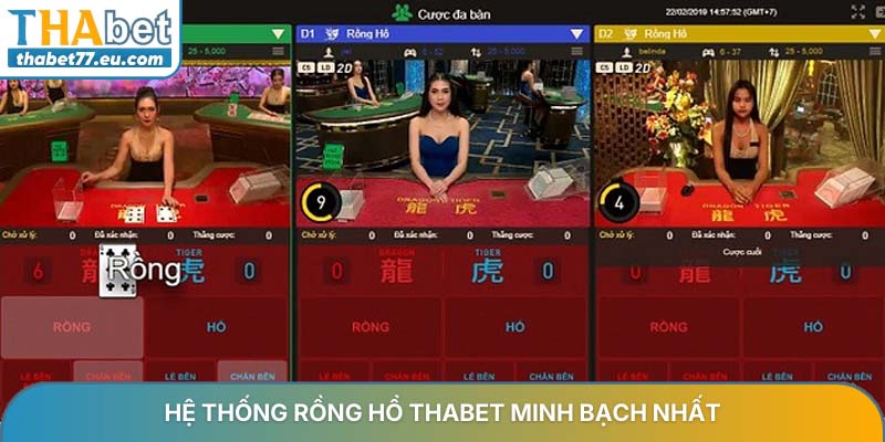 Rồng hổ THABET bí quyết cá cược và hướng dẫn chơi mới 2026
