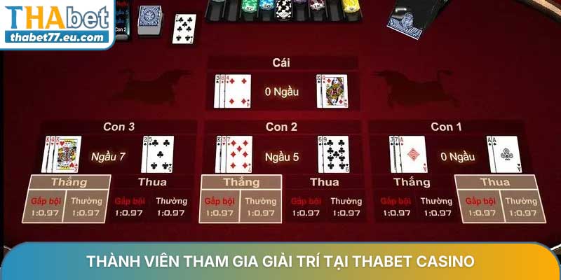 Luật chơi Ngầu Hầm THA Casino - Quy tắc chi tiết nhất 2026