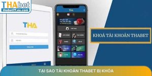 Tin tức THABET - Cập nhật khuyến mãi, link vào mới nhất 24/7
